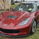 PlasticFantastic_026 (May 19, 2019)